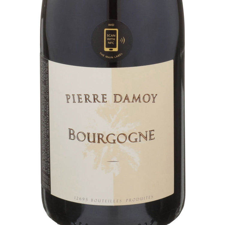 Pierre Damoy Bourgogne Pinot Noir Les Ravry 2019 - 750ML