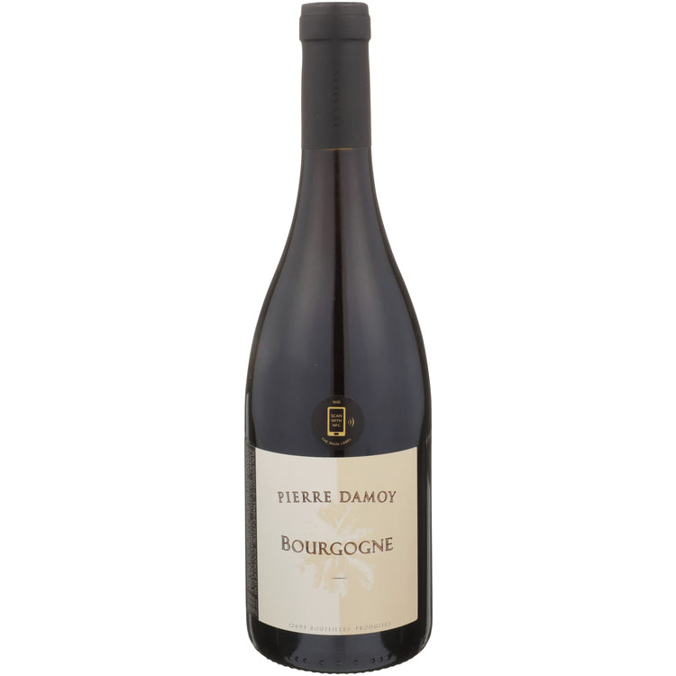 Pierre Damoy Bourgogne Pinot Noir Les Ravry 2019 - 750ML