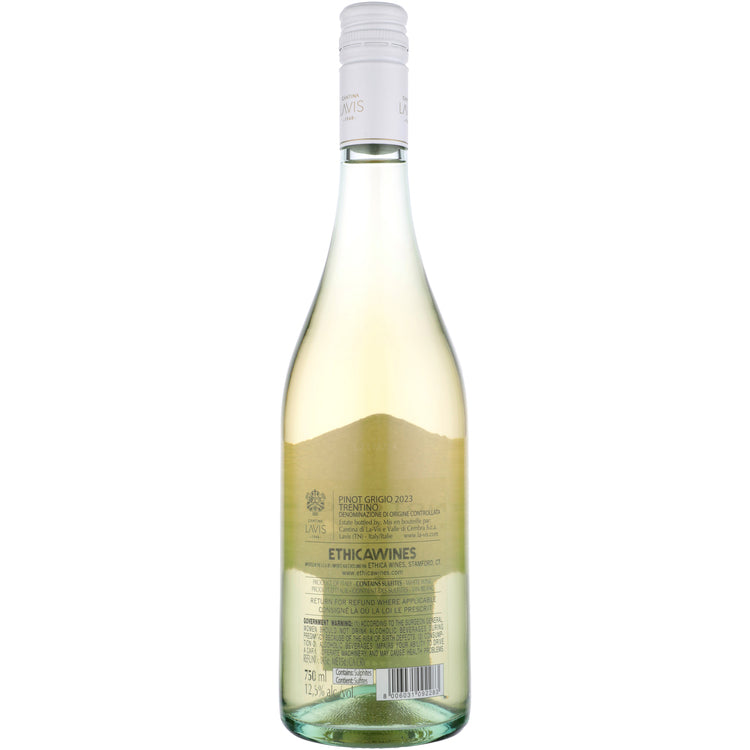 La Vis Pinot Grigio Trentino 2024 - 750ML - Back