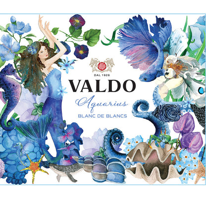 Valdo Aquarius Blanc De Blancs Extra Dry Italy - 750ML - Front Label