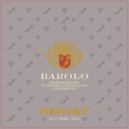 Pertinace Barolo 2020 - 750ML