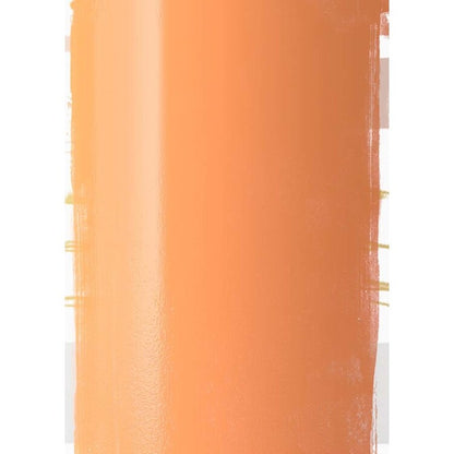 Absolut Peach Flavored Vodka 76 - 750ML