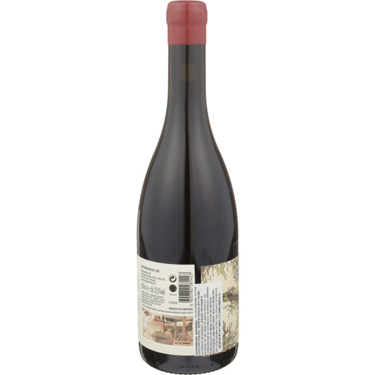 J. Cabral Almeida Dao Tinto Liquen Alfrocheiro 2022 - 750ML - Back