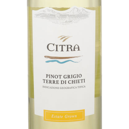 Citra Pinot Grigio Terre Di Chieti 2020 - 750ML - Front Label