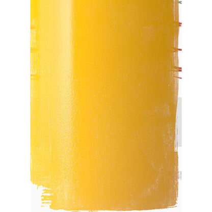 Absolut Mango Flavored Vodka 76 - 750ML