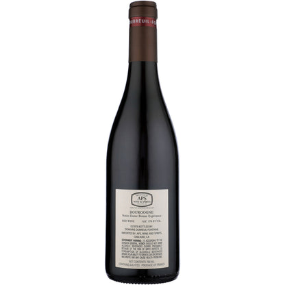 P. Dubreuil Fontaine Bourgogne Pinot Noir Notre Dame De Bonne Esperanc - 750ML