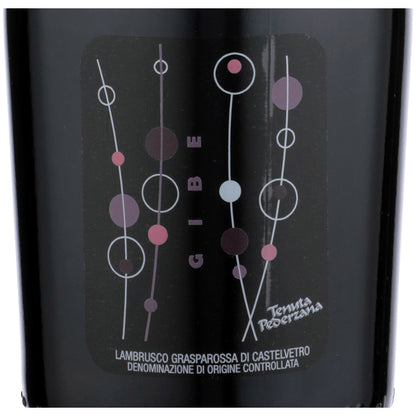 Tenuta Pederzana Lambrusco Grasparossa Di Castelvetro Gibe 2021 - 750ML