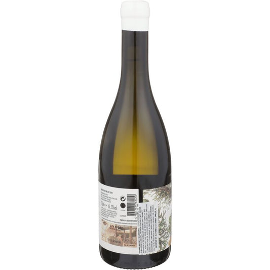 J. Cabral Almeida Dao Branco Liquen Encruzado 2021 - 750ML - Back