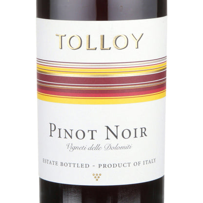 Tolloy Pinot Noir Vigneti Delle Dolomiti 2021 - 750ML