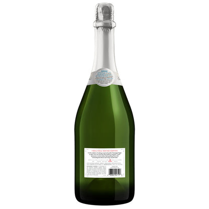 Cook's Spumante Champagne California - 750ML - Back