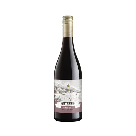 Anterra Pinot Noir Terre Siciliane - 750ML - Front