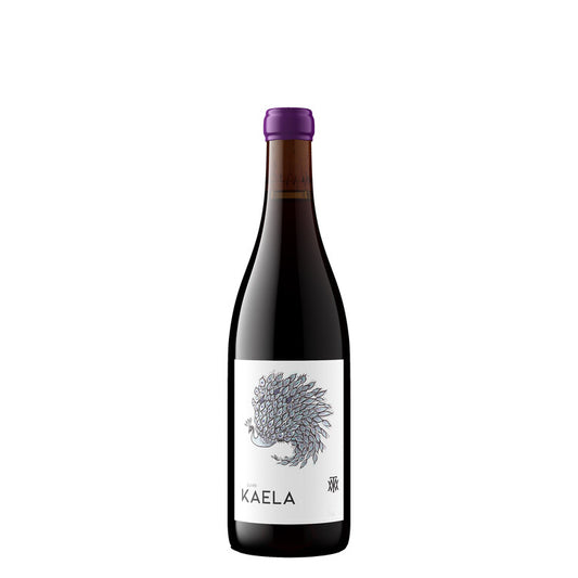 Matt Taylor Wines Pinot Noir Cuvee Kaela Komorebi Vineyard Sonoma Coas - 750ML - Front