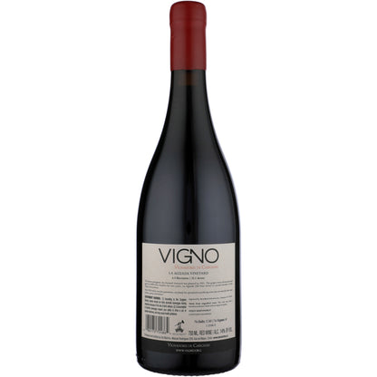 De Martino Carignan Vigno Old Vines Dry-Farmed Maule Valley 2019 - 750ML