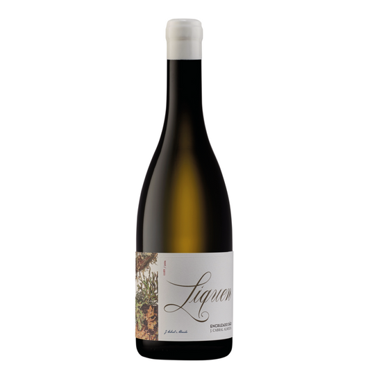 J. Cabral Almeida Dao Branco Liquen Encruzado 2021 - 750ML - Front