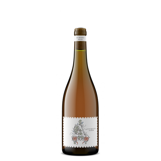 Antiquum Farm Pinot Gris Aurosa Willamette Valley 2024 - 750ML - Front