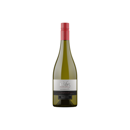 1865 Sauvignon Blanc Selected Vineyard Las Gaviotas Leyda Valley 2022 - 750ML - Front
