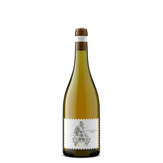 Antiquum Farm Pinot Gris Daisy Willamette Valley 2023 - 750ML