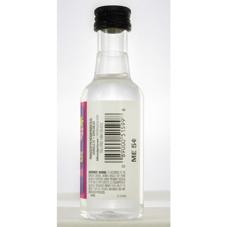 99 Brand Blackberry Schnapps 99 - 50ML - Back