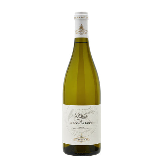 Tenuta Bocca Di Lupo Fiano Puglia 2022 - 750ML