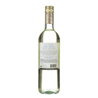 Anterra Pinot Grigio Terre Siciliane - 750ML - Back
