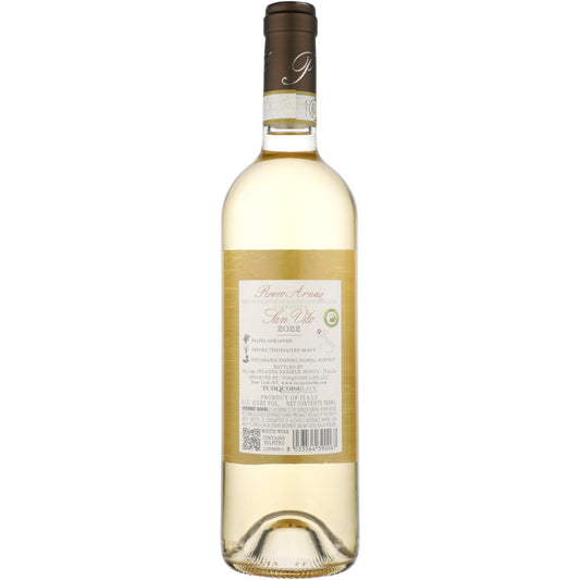 Pelassa Roero Arneis San Vito 2022 - 750ML - Back