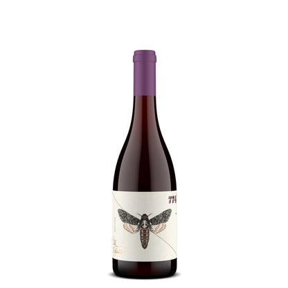 The Fableist Pinot Noir The Silkworm And The Spider Santa Barbara Coun - 20.0L - Front