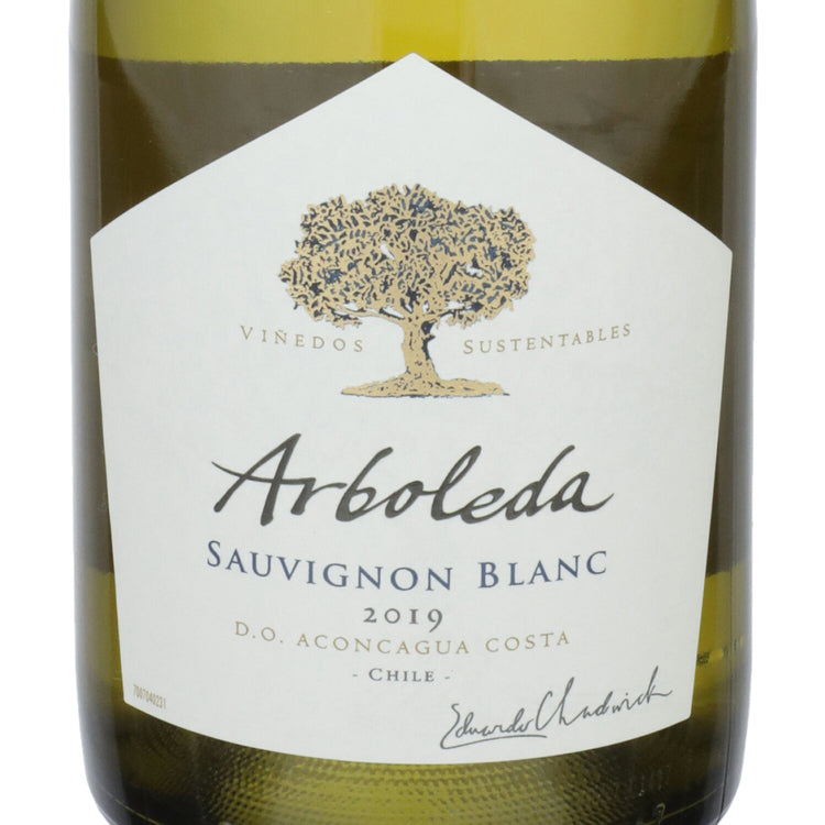 Arboleda Sauvignon Blanc Aconcagua Valley 2021 - 750ML