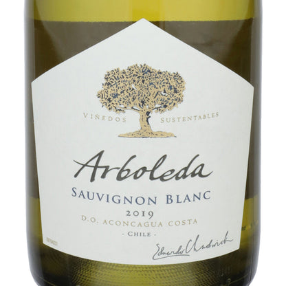 Arboleda Sauvignon Blanc Aconcagua Valley 2021 - 750ML